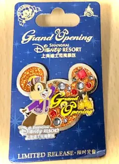 非売品 TDL 東京ディズニーランド ミッキーマウス 成人式 浦安市
