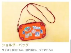 ディズニーバケーションパッケージ ショルダーバッグ バケパ ポーチ