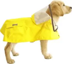 Item thumbnail for item 735e3e21-9063-40a3-92a7-1a2722e50d07