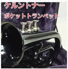 2026年最新】Kaerntner ケルントナー ポケットトランペットの人気