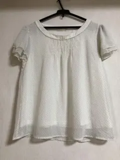 any sis オンワード樫山ブラウス　シフォン　裏付き