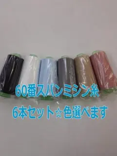 Item thumbnail for item 630d4f07-6fd5-49a7-bb4b-6024ebfc516f