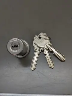 Item thumbnail for item 06080bf9-d38d-4464-a67f-ae211957fbee