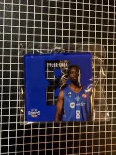 茨城ロボッツ タイラークック 選手