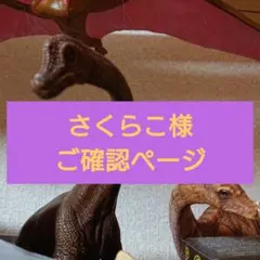 さくらこ様ご確認ページ