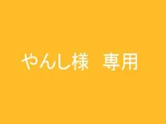 やんし様　専用　出品
