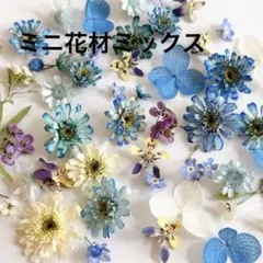 No,616 特小小花ミックス ドライフラワー花材 - メルカリ