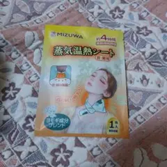 Item thumbnail for item 75b2a3ce-7635-4b64-9203-aadb8e863e39