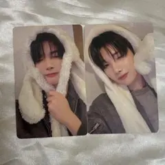 &team 雪明かり ふわふわアニマルトレカ JO