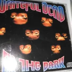 Grateful Dead /In The Dark　　輸入盤 CD