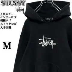 【人気カラー】ステューシー✨️センター刺繍ロゴ　ストックロゴ　パーカー　黒　Ｍ