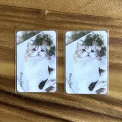 Item thumbnail for item 9df8ea82-3986-47e4-8006-7e970ce4b272