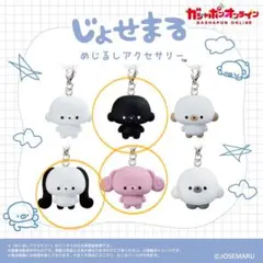 じょせまる めじるしアクセサリー セット