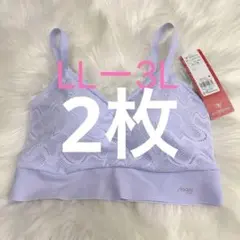 トリンプ スロギー オールラウンド カップ付き ヒヤミンス LL-3L 2枚のサムネイル