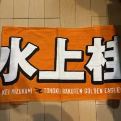 Item thumbnail for item a4bf6f32-232d-4e91-b540-3798147a5ef7