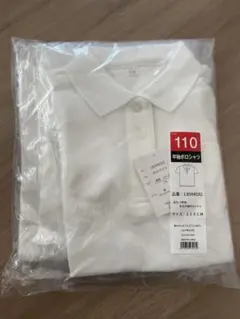 Item thumbnail for item 8c668213-0e42-45eb-8452-886220661db6