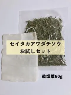 希少】セイタカアワダチソウの越冬完熟クリーム蜂蜜1,000g 1本 - メルカリ
