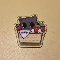 TXT プルバトゥ アクリルバッジ 福岡 ご当地 ダゴニャン