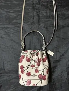 coach チェリーバッグ