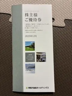 東急不動産ホールディングス 株主優待券