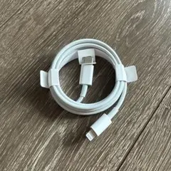 iPhone付属品 充電器 純正 タイプCライトニングケーブル Apple正規品