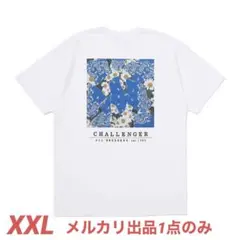 2026年最新】PORKCHOP massesの人気アイテム - メルカリ