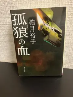 映画『孤狼の血』プレミアム プレスシート【 非売品 】 2025年最新】Yahoo!オークション -孤狼の血の中古品・新品・未