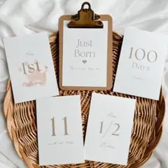 Item thumbnail for item 7cae0805-58dc-487b-8caf-32ae93c4de20