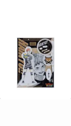 ハイキュー キャラパネ軍団‼︎ アクリルスタンドEX. 日向翔陽 ファン