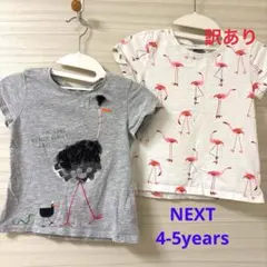 Next Tシャツ 2枚セット 4-5yearsのサムネイル
