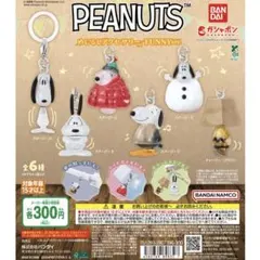 ピーナッツ/めじるしアクセサリー/コンプリートセット③