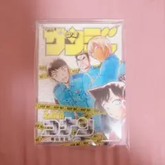名探偵コナン 応募者全員サービス 繋がるレイヤードグラフセット 警察