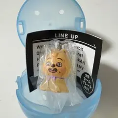 【即購入可】SKZOO めじるしアクセサリー ハンクオッカ