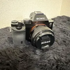 Item thumbnail for item 8f5337a3-b229-4b06-8f97-67ce3351262b