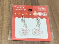 ちいかわ キャンドゥ　プチチャーム　セット　古本屋