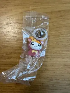 とっとこハム太郎 めじるしアクセサリー ちゅりー！全6種フルセット