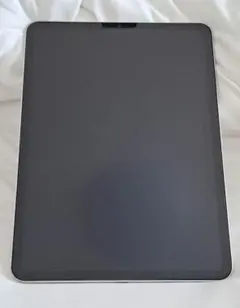 iPad Pro 第一世代　本体　11インチ　2018 ジャンク ジャンク】iPad Pro 第1世代/11インチ/Wi-Fi/256GB/A1980〈MTXQ2J/A