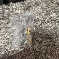 スリンキー・ドッグ