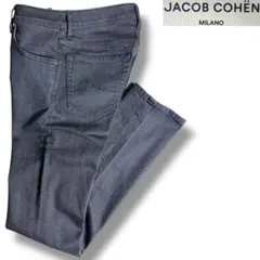 J6007美品ヤコブコーエン 110着限定NICK LTD クラッシュデニム32 