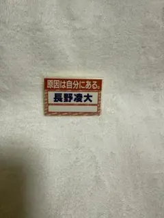 原因は自分にある。 長野凌大 ダンエビ祭 名札ステッカー