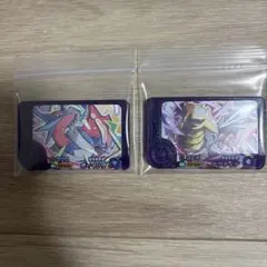 ポケモンフレンダ　ボーマンダー　ギラティナ　2枚セット