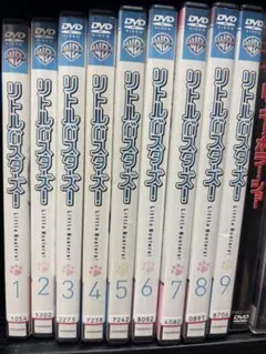 ライオン先生 DVD - メルカリ