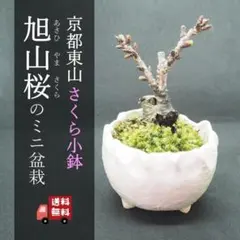 Ami S様 リクエスト 3点 まとめ商品