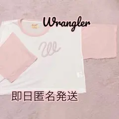 美品　Wrangler Fill The Bill シアーTシャツのサムネイル