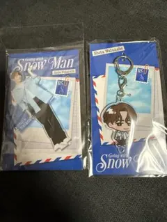 【即日発送】　スノーマン 渡辺翔太　アクスタ　アクリルキーホルダー　すのチルのサムネイル