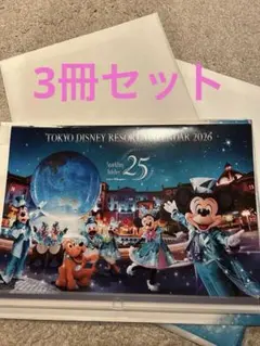 ディズニー 非売品カレンダー 2026 3冊セット