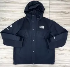 Supreme × THE NORTH FACE Mountain Parka