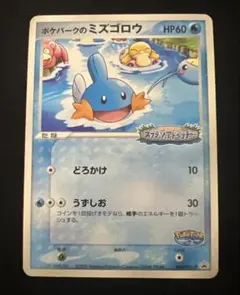 ポケパークのミズゴロウ 048/PCG-P ポケモンカード　ポケカ プロモ