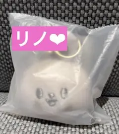 SKZOO FACE KEYRING SILVER Ver. リービット