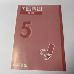 四谷大塚 予習シリーズ 夏期講習 算数 必修編 5年 - メルカリ